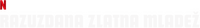 Logo 3