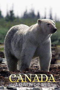 Poster for Canada: A Year in the Wild