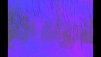 Backdrop 17