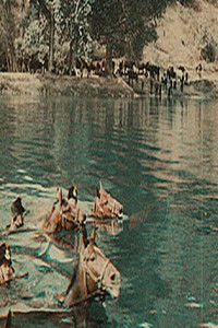 Poster for Picturesque Waterfalls of Italy