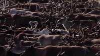 Backdrop 0