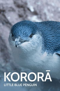 Poster for Kororā: Little Blue Penguin