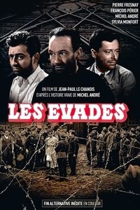 Poster 4