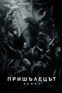 Poster 32