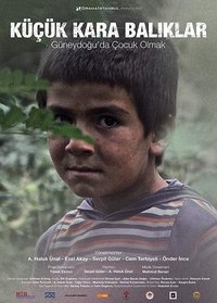 Poster for Little Black Fishes