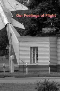 Poster for Our Feelings of Flight