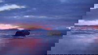 Backdrop 0