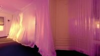 Backdrop 2