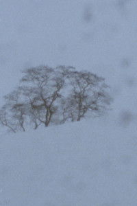 Poster for Landscape as Landscape - 25