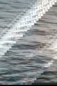Remembering Wavelengths