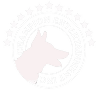 logo for Champion Entertainment