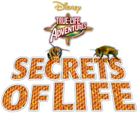 Logo 0
