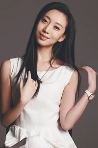 Profile of Liu Yan