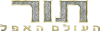 Logo 17