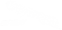 Logo 13