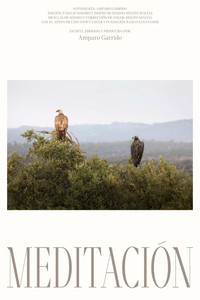 Poster for Meditación