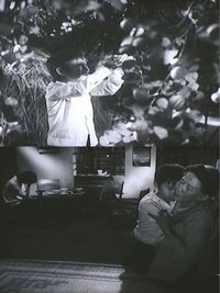 Poster 3
