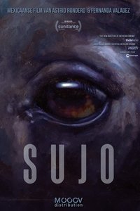 Poster 13