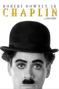Poster 8