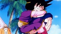 Goku se recupera