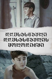 Holiday in Expectation of a Ho