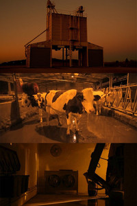 Poster for Rêvent-elles de robots astronautes?