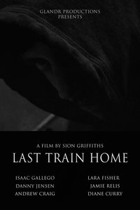 Poster for Last Train Home