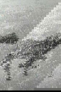 Poster for Spring 1999