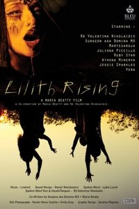 Poster 4