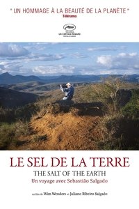 Poster 11