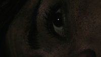 Backdrop 6