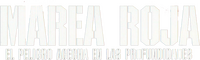 Logo 12