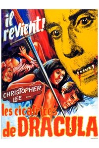 Poster 29