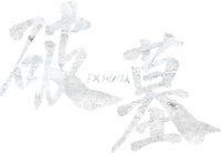 Logo 9