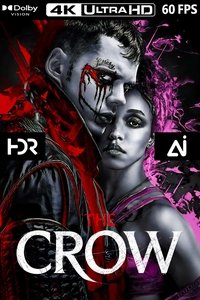 Poster 31