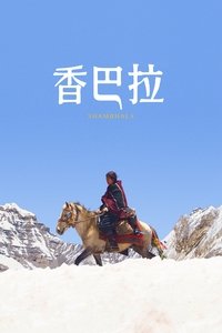 Poster 8