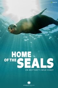 Poster for Home of the seals: On Brittanny's wild coast