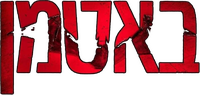 Logo 31