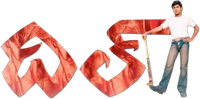 Logo 0