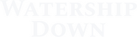 Logo 5
