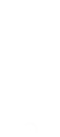 Logo 20