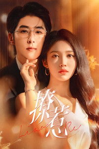 Poster for Provocative Love