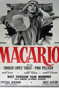 Poster 6