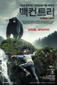 Poster 13