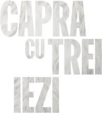 Logo 1