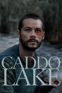 Poster 6