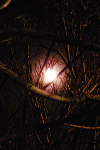 Poster for Sad and Empty