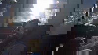 Backdrop 69