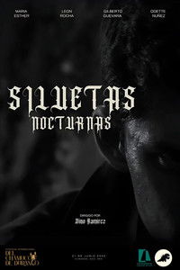 SILUETAS NOCTURNAS