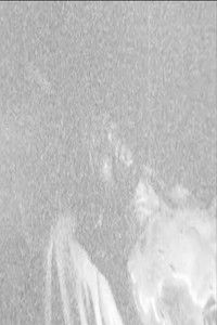 Poster for The Revelation: How I Was Struck at No. 29 Parrocchia Street